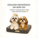 Colchão Ortopédico do Shih-Tzu