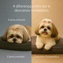Colchão Ortopédico do Shih-Tzu