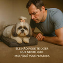Colchão Ortopédico do Shih-Tzu