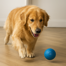 Bola de Brinquedo Elétrica para Goldens