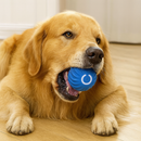 Bola de Brinquedo Elétrica para Goldens