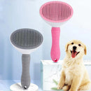 Escova Inteligente Anti-Pelos 2 em 1 – Compre 1, Leve 2!