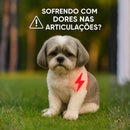 Colete Peitoral Élégance™ – Passeios Seguros, Confortáveis e com Estilo