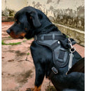 Colete Peitoral Reforçado com Guia Retrátil para Rottweiler – Segurança e Controle Total