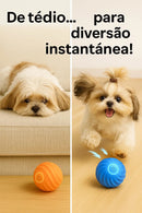 Bolinha Interativa Power Play™ para Shih Tzu  — 🔥 Auto-movimento e estímulo diário 🔥