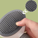 Escova Inteligente Anti-Pelos 2 em 1 – Compre 1, Leve 2!