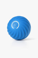 🔥 Bolinha de brinquedo interativa - Premium™ 🔥