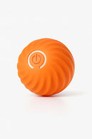 🔥 Bolinha de brinquedo interativa - Premium™ 🔥