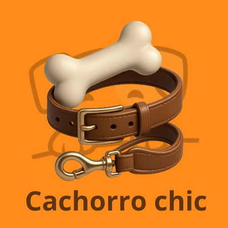 Acessórios