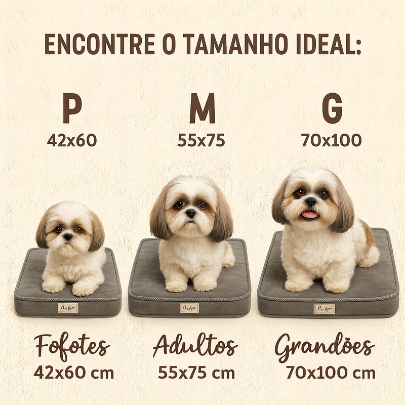 Colchão Ortopédico do Shih-Tzu