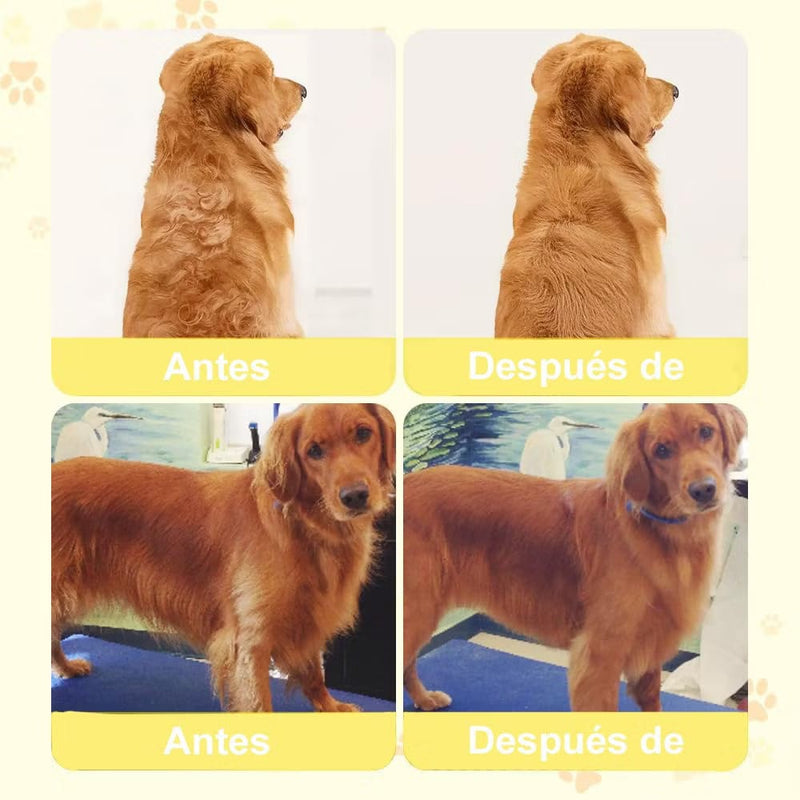 Escova Fumegante para Cães Compre 1 e ganhe outra de Brinde