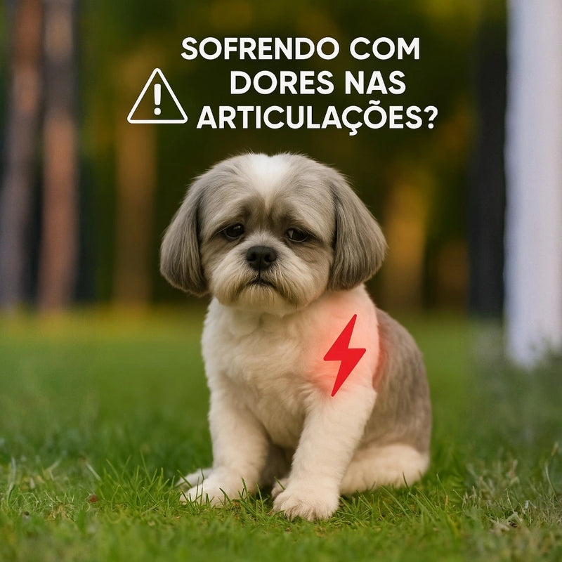 Colete Peitoral Élégance™ – Passeios Seguros, Confortáveis e com Estilo