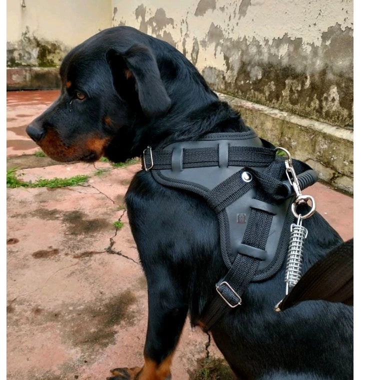 Colete Peitoral Reforçado com Guia Retrátil para Rottweiler – Segurança e Controle Total