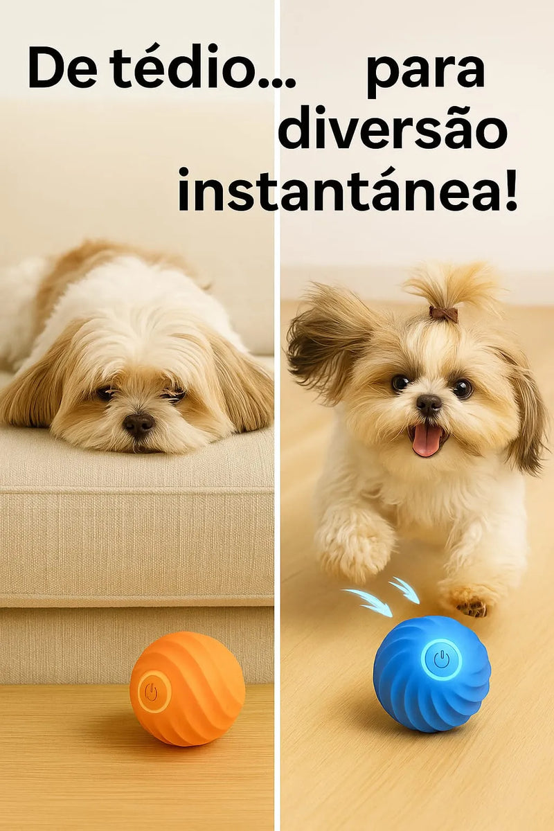 Bolinha Interativa Power Play™ para Shih Tzu  — 🔥 Auto-movimento e estímulo diário 🔥