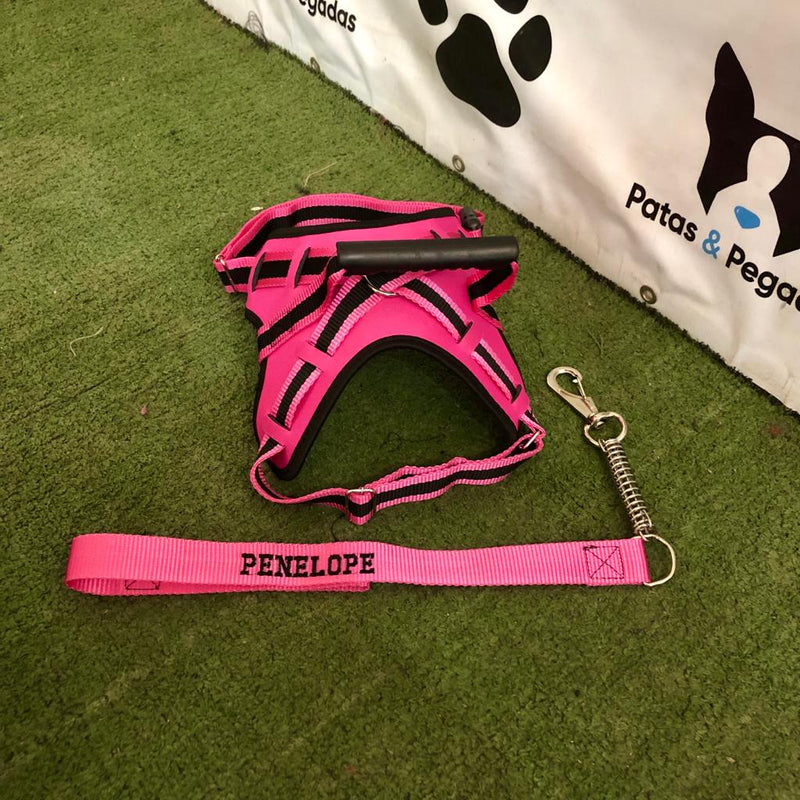 Colete com Guia Retrátil para Cães para Passeios com Liberdade